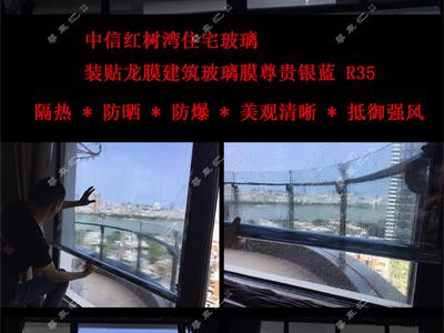 中信红树湾 R35    建筑玻璃20190822